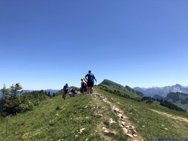 KAC Gaissau Kräuterwanderung 2019 06 29 12 30 35  4698
